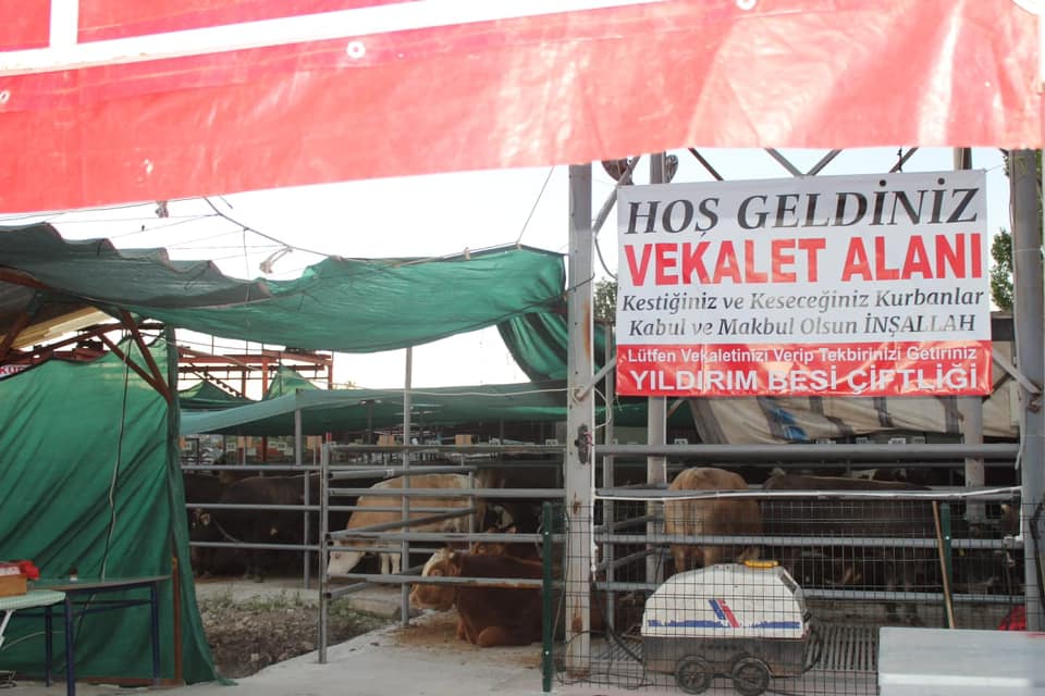 Ekip